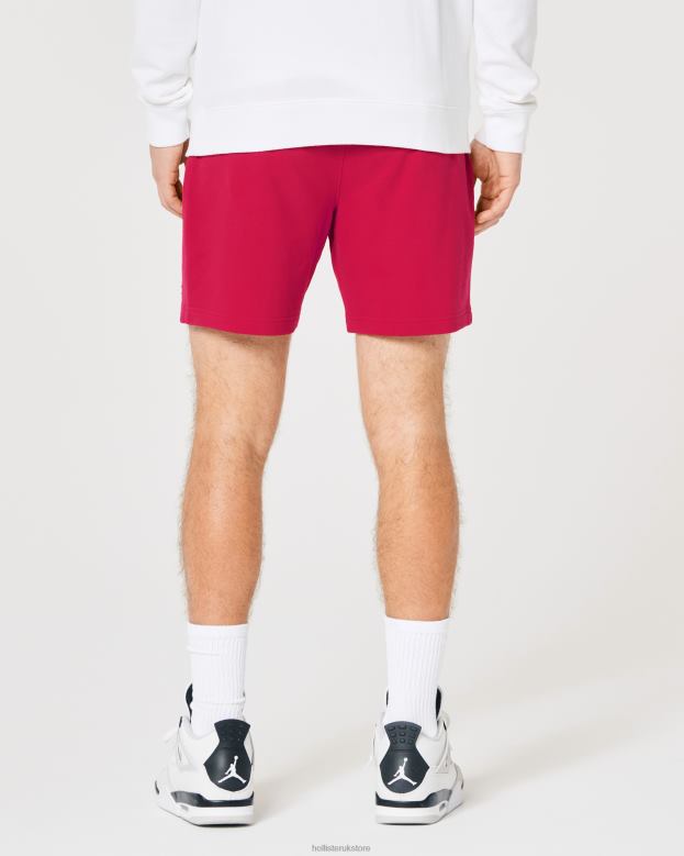 Bottoms Hollister Men Terry Fleece Logo Icon Shorts 7\\ 488201244 Red